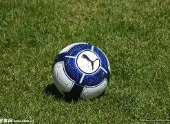 必赢电子,资讯,必赢电子官网,必赢电子官网,必赢电子网页版,必赢电子官网入口,必赢电子官网,必赢电子首页