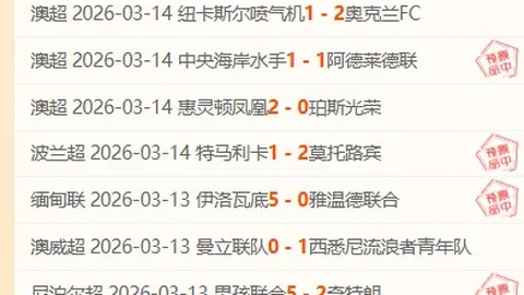 快船主场对决公牛：专家四连胜预测及质合分析